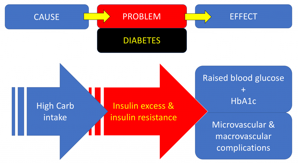 Flow chart 1 How to get diabetes Dr Chris Barclay